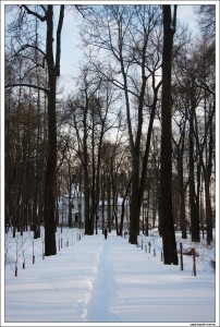 Успенская церковь в Демьяново