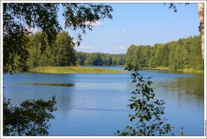 Тиверское городище